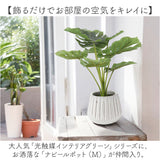 光触媒 人工観葉植物 通販 フェイクグリーン インテリアグリーン イミテーショングリーン インテリアプランツ ポット 陶器 植物 飾る 消臭 抗菌 防カビ おしゃれ 置物 イミテーション