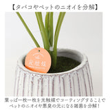 光触媒 人工観葉植物 通販 フェイクグリーン インテリアグリーン イミテーショングリーン インテリアプランツ ポット 陶器 植物 飾る 消臭 抗菌 防カビ おしゃれ 置物 イミテーション