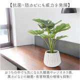 光触媒 人工観葉植物 通販 フェイクグリーン インテリアグリーン イミテーショングリーン インテリアプランツ ポット 陶器 植物 飾る 消臭 抗菌 防カビ おしゃれ 置物 イミテーション
