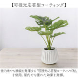 光触媒 人工観葉植物 通販 フェイクグリーン インテリアグリーン イミテーショングリーン インテリアプランツ ポット 陶器 植物 飾る 消臭 抗菌 防カビ おしゃれ 置物 イミテーション