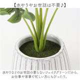 光触媒 人工観葉植物 通販 フェイクグリーン インテリアグリーン イミテーショングリーン インテリアプランツ ポット 陶器 植物 飾る 消臭 抗菌 防カビ おしゃれ 置物 イミテーション