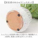 光触媒 人工観葉植物 通販 フェイクグリーン インテリアグリーン イミテーショングリーン インテリアプランツ ポット 陶器 植物 飾る 消臭 抗菌 防カビ おしゃれ 置物 イミテーション