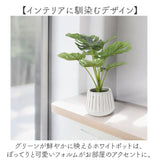 光触媒 人工観葉植物 通販 フェイクグリーン インテリアグリーン イミテーショングリーン インテリアプランツ ポット 陶器 植物 飾る 消臭 抗菌 防カビ おしゃれ 置物 イミテーション