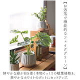 光触媒 フェイクグリーン 通販 人工観葉植物 イミテーショングリーン インテリアグリーン 消臭 抗菌 防カビ おしゃれ ポット 陶器 植物 飾る インテリアプランツ 置物 イミテーション