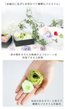 入浴剤  シャリテローズ CHARITE ROSE  バスペタル バブルバス ギフト かわいい 通販 プレゼント 女性 ローズ アロマ 香り 泡風呂  バス用品  120416-5 OBDRP01 Z4451