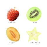 おもしろブックマーク 通販 アクリルブックマーカー リアルフルーツしおり おしゃれな栞 かわいい文房具 おもしろ雑貨 読書グッズ プチギフト 入学卒業祝い 贈り物 透明ブックマーク
