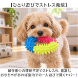 犬 おもちゃ 10個セット 通販 コットンロープ デンタルケア 運動不足解消 引っ張り合い 一人遊び 投げて遊ぶ 水洗い可能 耐久性抜群 噛むおもちゃ 室内屋外兼用 多頭飼い