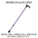 杖 オッセンベルグ 通販 ステッキ t字杖 つえ 一本杖 １本杖 伸縮杖 伸縮タイプ 軽量 伸縮 伸縮式 伸縮型 ゴム 杖先ゴム メンズ レディース 男性用 女性用 OSSENBERG OSシリーズ シニア