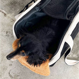 ペット キャリー バッグ 通販 犬用キャリーバッグ 猫用キャリーバッグ キャンバストート ペットトートバッグ PUFF ショルダーキャリー 電車 新幹線移動 車用固定 おしゃれ 通気性 自立型
