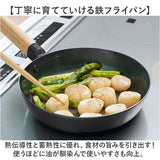 鉄フライパン 日本製 通販 鉄製 フライパン 20cm 浅型フライパン 鉄製フライパン オーブン IH ガス IH対応 ガス火 取っ手が取れる ライクイット like-it