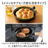 鉄フライパン 日本製 通販 鉄製 フライパン 20cm 浅型フライパン 鉄製フライパン オーブン IH ガス IH対応 ガス火 取っ手が取れる ライクイット like-it