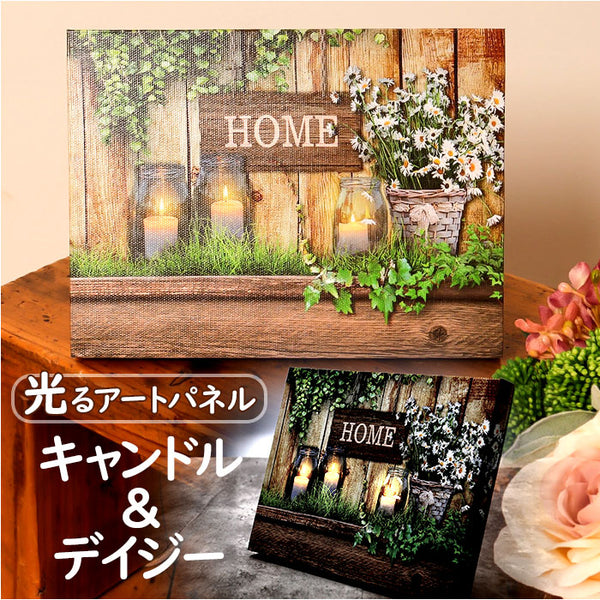 pds9336_grande.jpg?v=1718260975