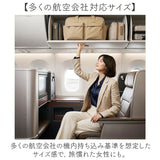 大容量 ボストンバッグ 軽い 通販 ボストンバック 旅行バッグ 機内持ち込み バッグ 修学旅行バッグ 旅行カバン 1泊2日 キャリーオンバッグ 旅行かばん 2泊3日 軽量 斜めがけ 肩掛け