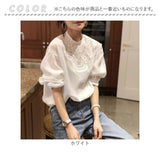 ブラウス チュニック レディース 長袖 通販 レディースブラウス 長袖ブラウス バルーンブラウス ボリュームブラウス シャツ 長袖シャツ バルーンスリープ 袖ボリューム ボリューム袖