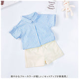 双子 服 通販 子供服 ベビー服 キッズ こども 子ども 双子コーデ 双子セット服 セット チェック柄 夏 コットン 綿 記念撮影 お祝い 記念日 お呼ばれ フォーマル 兄弟 姉妹 お揃い