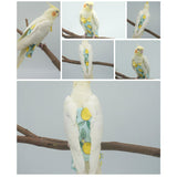 鳥用品 通販 鳥用おむつ 鳥用オムツ 布おむつ 布オムツ おしっこパッド インコ いんこ 鳥 フライト可能 インコ服 オウム服 調節可能 着脱簡単 可愛い かわいい おしゃれ お出掛け服 鳥服