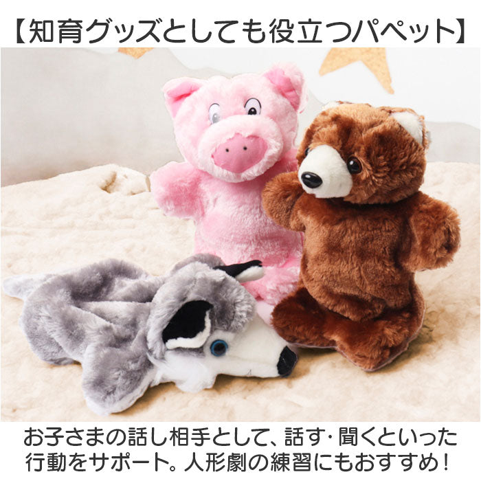 pk9160set2_2_2048x.jpg?v=