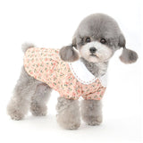 ペット 服 かわいい スカート 帽子 フリル 通販 Tシャツ カットソー 服 犬 犬服 いぬ 犬の服 ルームウェア ペット服 襟 柄 コットン イヌ カジュアル 春 夏
