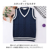 ベスト 制服 スクールベスト 通販 ニット セーター 学生服 V ネック ライン入り ストライプ 中学生 高校生 男女兼用 ガールズ ボーイズ 学生 スクール 通学 かわいい