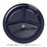 ランチプレート 食洗機対応 通販 おしゃれ 仕切り皿 お皿 ランチ プレート 可愛い かわいい ホーロー 琺瑯 ほうろう ホウロウ オーブン 直火 対応 お子様ランチ プレート 大人 シンプル