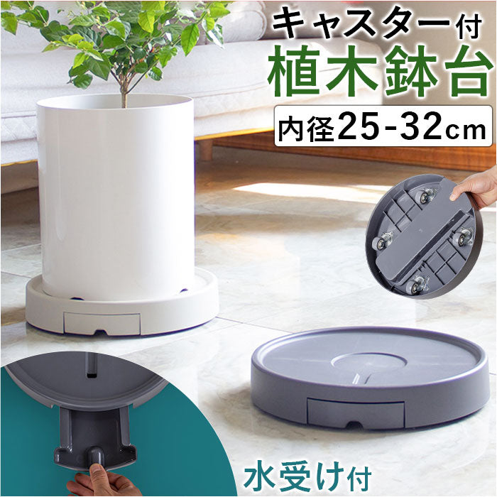 pmy0514_2048x.jpg?v=1724640236