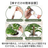 モスポール 2本セット 通販 支柱 観葉植物 ガーデニング 園芸用 支え 植物 園芸支柱 植物支柱 モンステラ 園芸 ガーデニング用 サポート つる ガーデニング用品 植物サポート 園芸用品