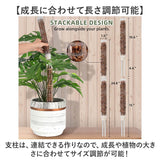 モスポール 2本セット 通販 支柱 観葉植物 ガーデニング 園芸用 支え 植物 園芸支柱 植物支柱 モンステラ 園芸 ガーデニング用 サポート つる ガーデニング用品 植物サポート 園芸用品