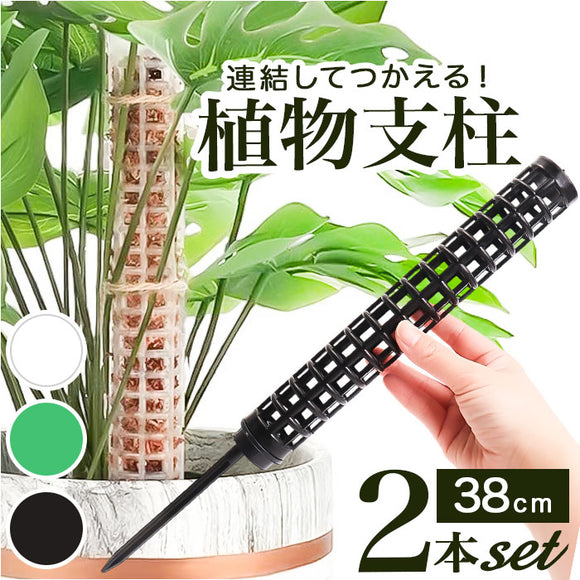 モスポール 2本セット 通販 支柱 観葉植物 ガーデニング 園芸用 支え 植物 園芸支柱 植物支柱 モンステラ 園芸 ガーデニング用 サポート つる ガーデニング用品 植物サポート 園芸用品