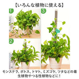 モスポール 4本セット 通販 支柱 観葉植物 モンステラ 園芸 園芸支柱 植物支柱 ガーデニング 園芸用 ガーデニング用 サポート つる 支え 植物 ガーデニング用品 植物サポート 園芸用品