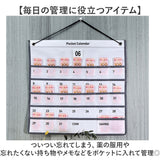 カレンダーポケット ウォールポケット 壁掛け 通販 お薬カレンダー 壁掛けポケット 壁掛け収納 吊り下げラック 吊り下げ収納 ポケット収納 小物収納 多目的ポケット ポケット 小物入れ