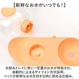 給水機 ペット 通販 ペット給水機 水飲み器 犬 猫 小動物 ペット水やり 水入れ 水分補給 留守番 おしゃれ オシャレ かわいい 可愛い 取り外し可能 大容量循環ろ過 電源不要 透明水タンク