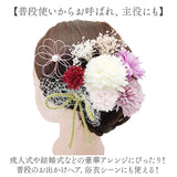 髪飾り へッドアクセサリー セット へッドアクセ 通販 髪かざり ヘアークリップ アクセサリー ヘッドドレス 飾り 髪 ヘッド 頭 卒業式 成人式 造花 花 フラワー 和風 和 着物 和装