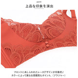 ブラジャー ショーツ セット 通販 ノンワイヤー ブラ ショーツセット ブラショーツ 上下セット ノンワイヤーブラ レディースインナー 婦人下着 レース ランジェリー 背中ホック