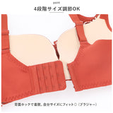 ブラジャー ショーツ セット 通販 ノンワイヤー ブラ ショーツセット ブラショーツ 上下セット ノンワイヤーブラ レディースインナー 婦人下着 レース ランジェリー 背中ホック