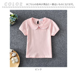 丸襟 カットソー キッズ 半袖 通販 ブラウス Tシャツ 襟 レース 無地 子供服 ガールズ ベビー 女の子 子供 子ども こども トップス おしゃれ かわいい