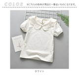 丸襟 カットソー キッズ 半袖 通販 ブラウス Tシャツ 襟 無地 子供服 ガールズ ベビー 女の子 子供 夏 子ども こども トップス おしゃれ かわいい