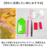 ダイヤモンドアート キット 通販 キットセット ビーズアート ダイヤモンド アート ダイアモンドアート ビーズ ハンドメイド ダイヤモンドペインティング ツールセット 手芸 手芸キット