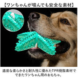 犬 歯磨き おもちゃ 通販 噛むおもちゃ 歯磨きおもちゃ 犬おもちゃ 犬オモチャ ペットおもちゃ 玩具 噛む 音が鳴る 歯ブラシ ヒトデ 大型犬 中型犬 知育玩具 音の出るおもちゃ 犬用品