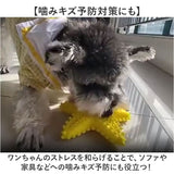 犬 歯磨き おもちゃ 通販 噛むおもちゃ 歯磨きおもちゃ 犬おもちゃ 犬オモチャ ペットおもちゃ 玩具 噛む 音が鳴る 歯ブラシ ヒトデ 大型犬 中型犬 知育玩具 音の出るおもちゃ 犬用品