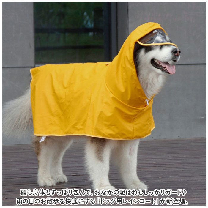 犬用レインコート ベージュ 中型犬用 ペットパラダイス レインコート 《蜂》中型犬 大型犬 / PET