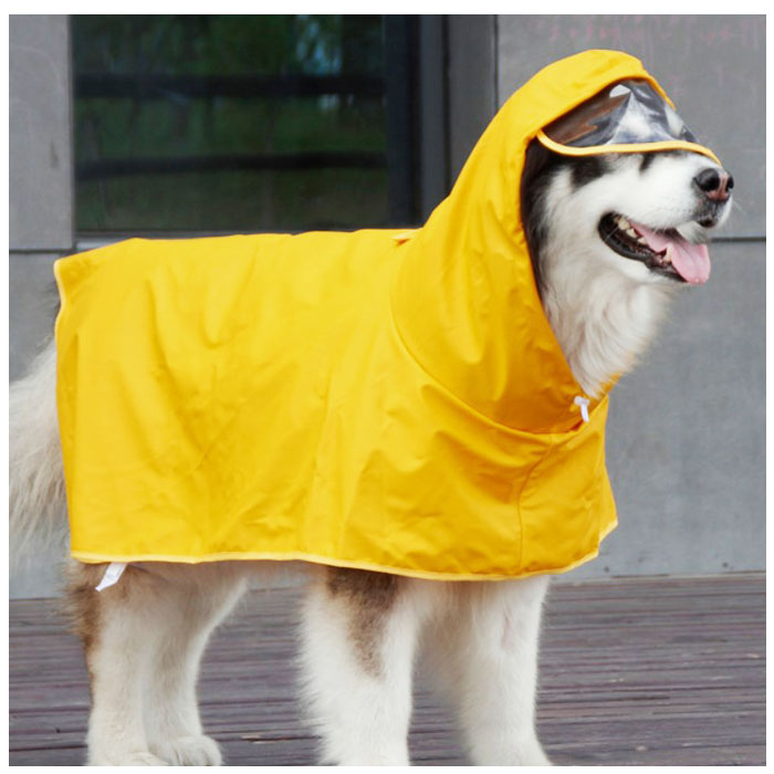 pmydogwear06_2_2048x.jpg?v=