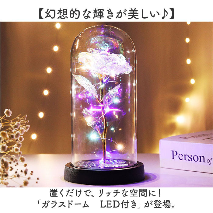 pmyjp417_1_2048x.jpg?v=1724817036