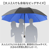 折りたたみ傘 晴雨兼用 通販 折り畳み傘 折りたたみ 折り畳み カサ かさ 日傘 雨傘 メンズ レディース 男女兼用 おしゃれ ビジネス 通勤 レイングッズ 梅雨 コンパクト 10本骨 シンプル