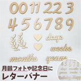 レターバナー 木製 通販 木製カレンダー 月齢フォト ニューボーンフォト 記念日用レターバナー お食い初め 100日 撮影小物 誕生日 飾り付け 記念 バースデー飾り かわいい おしゃれ