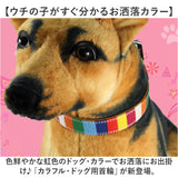首輪 犬 通販 犬の首輪 中型犬 小型犬 かわいい 可愛い おしゃれ 調節可能 シンプル カジュアル 犬アクセサリー オシャレ お出掛け お出かけ さんぽ 散歩 ベルト式 キャンバス+PU