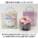 Green house グリーンハウス ソープフラワー アレンジメント M 通販 フェイクフラワー フラワーギフト 花 フラワー 造花 ギフト GREEN HOUSE 贈り物 贈りもの ふわふわ ポット かわいい