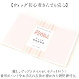 プリシラ 部分 ウィッグ prisila 通販 お団子ウィッグ おだんごウィッグ お団子ヘア かぶせる ポイントウィッグ エクステンション 耐熱 DG-01M-T セルフでできる めちゃ楽団子