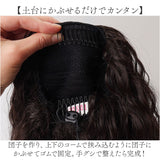 フラ ウイッグ ポニーテール ロング 通販 日本製 プリシラ HULA-01 prisila ウィッグ つけ毛 フラウィッグ ヘアエクステ エクステンション ポイントウィッグ 部分ウィッグ