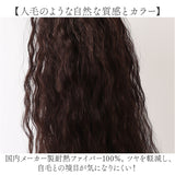 フラ ウイッグ ポニーテール ロング 通販 日本製 プリシラ HULA-01 prisila ウィッグ つけ毛 フラウィッグ ヘアエクステ エクステンション ポイントウィッグ 部分ウィッグ