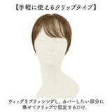 プリシラ 白髪隠しウィッグ prisila ST-009 通販 ヘアピース プレミアム白髪かくしウィッグ ナチュラルショート ポイントウィッグ 部分ウィッグ ポイントウイッグ ウィッグ ウイッグ